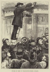 Schwarm von Bienen in der Wellington-Straße, Strand